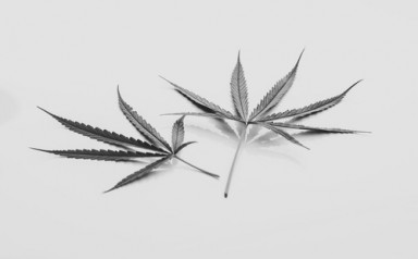 Детоксикация от наркотиков в Сестрорецке